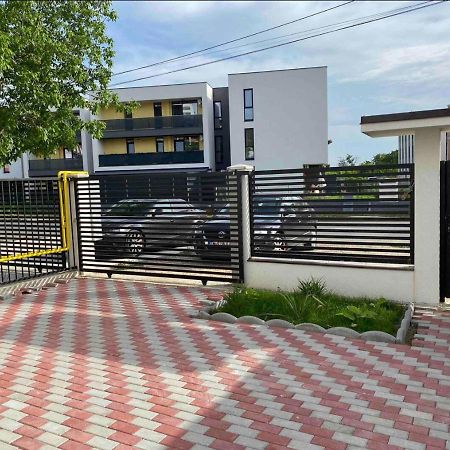 Cozy Apartament With 2Rooms Тимишоара Екстериор снимка