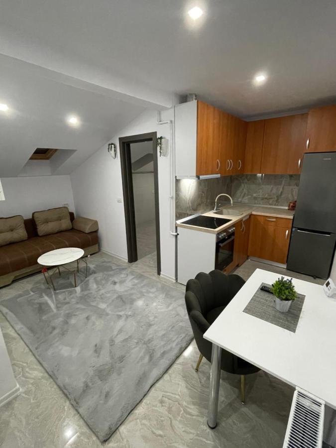 Cozy Apartament With 2Rooms Тимишоара Екстериор снимка