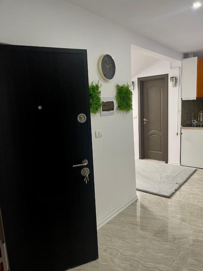 Cozy Apartament With 2Rooms Тимишоара Екстериор снимка
