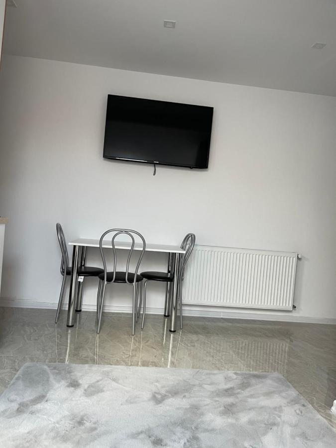 Cozy Apartament With 2Rooms Тимишоара Екстериор снимка